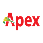 apex